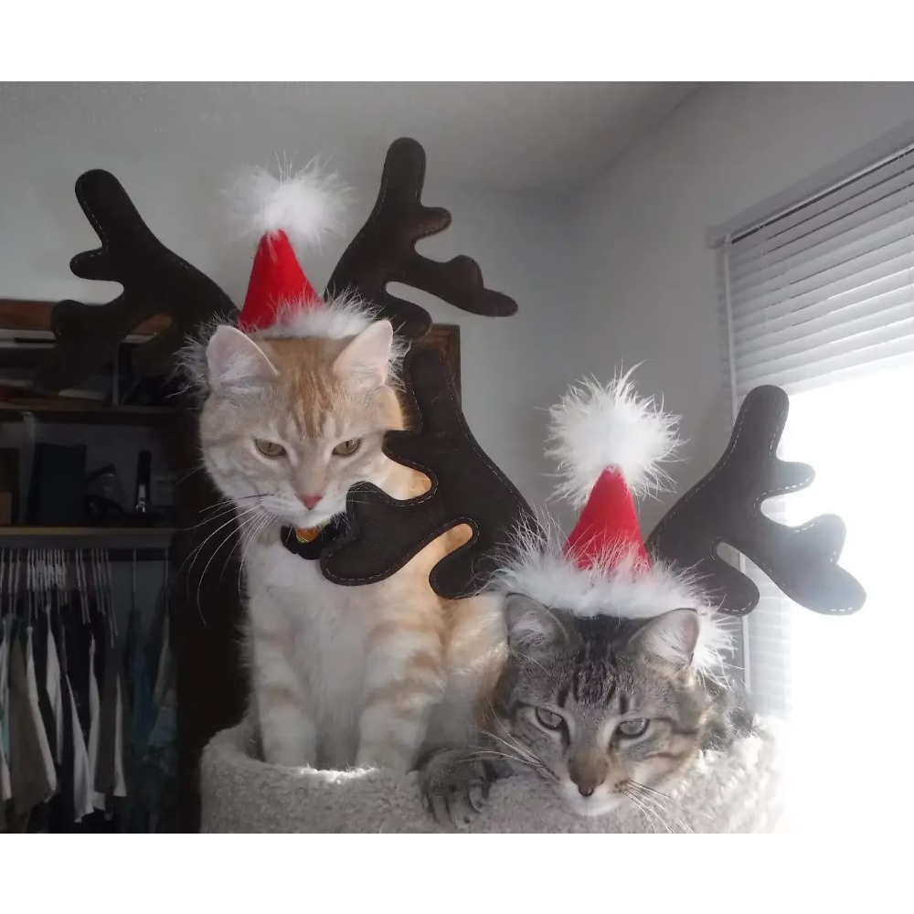 Pet Christmas Reindeer Antler  - Reindeer Antlers Headband recension och pris